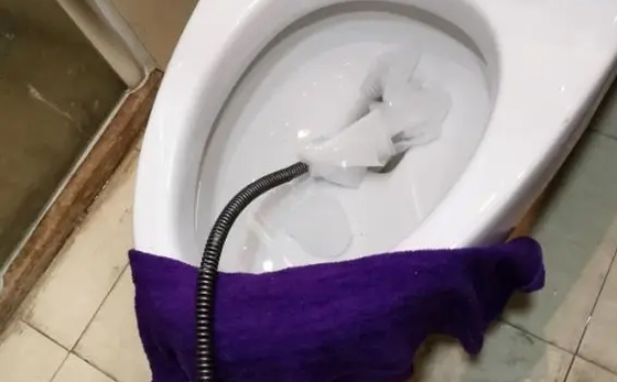 彬村山华侨农场马桶疏通